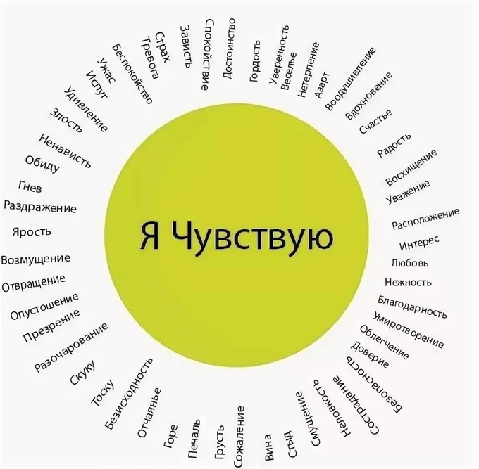 НАШИ ЧУВСТВА